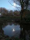 pond moon