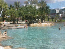 Brisbane beach