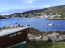 tarbert-copy.gif