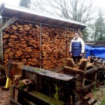 A shed full of slab wood