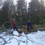 Timber!