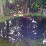 Fingers crossed that the pond stays full.