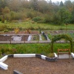 Completed paths in the veg. garden.