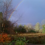 A Larick House Rainbow
